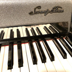 Analog Tara Slow Time cover with close-up of sparkle top Rhodes keyboard